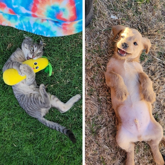 💫🌟Poshmark Ambassador🌟💫 💗 Maira💗 - Picture 8 of 16